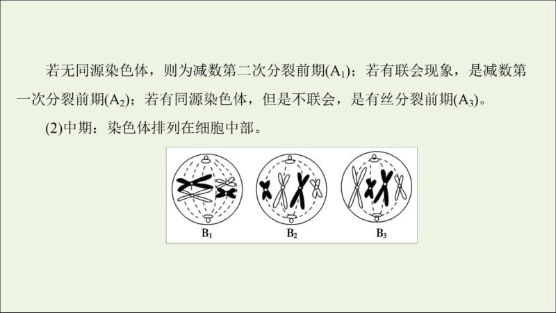 2018-2019高中生物第1单元微专题突破课件中图版必修2.pdf_第3页