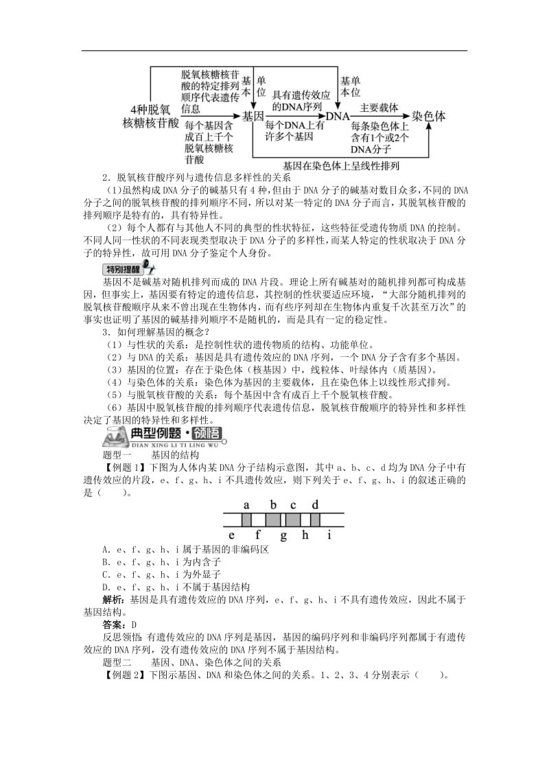 高中生物第三单元第二章第一节认识基因学案含解析中图版必修2.pdf_第2页