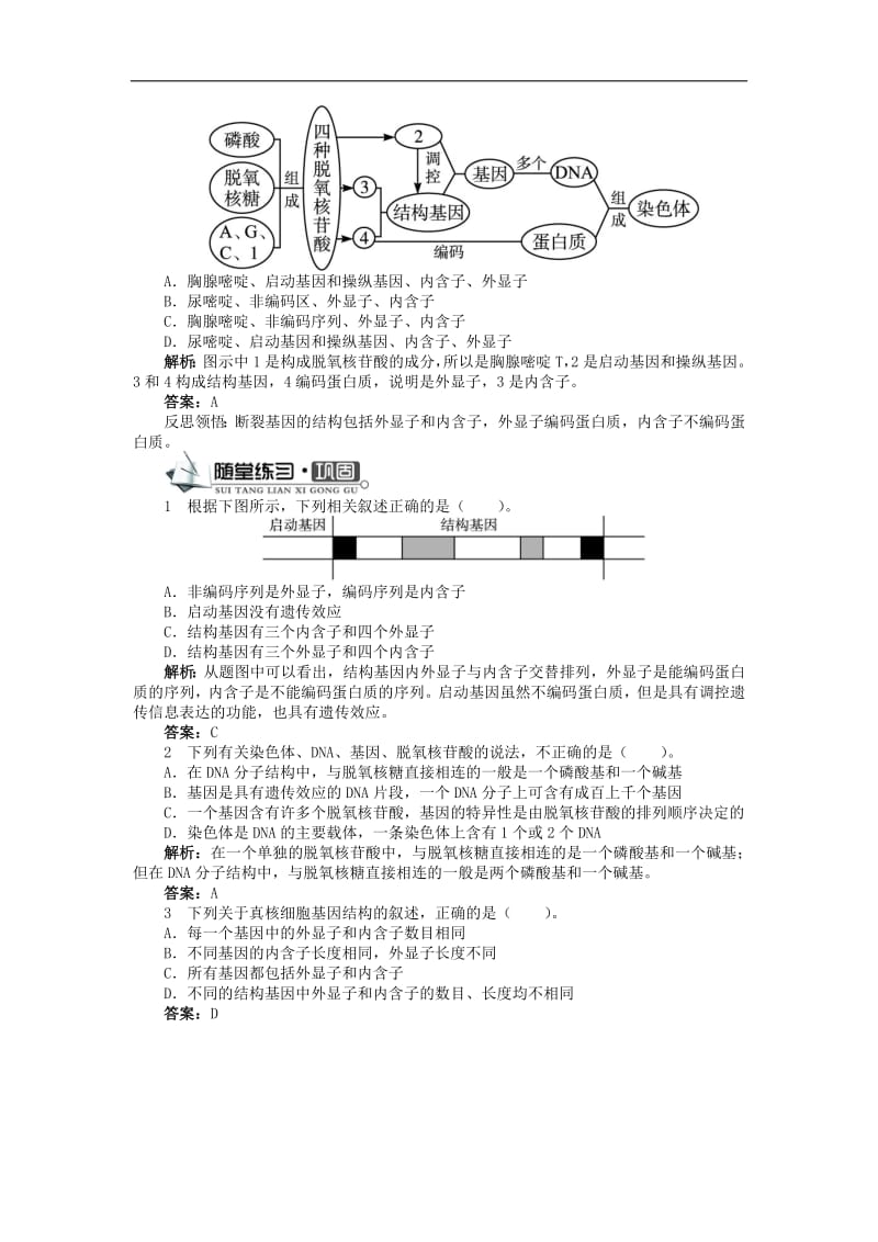 高中生物第三单元第二章第一节认识基因学案含解析中图版必修2.pdf_第3页