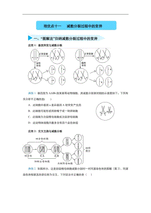 2020届高三生物精准培优专练：十一 减数分裂过程中的变异 Word版含答案.pdf