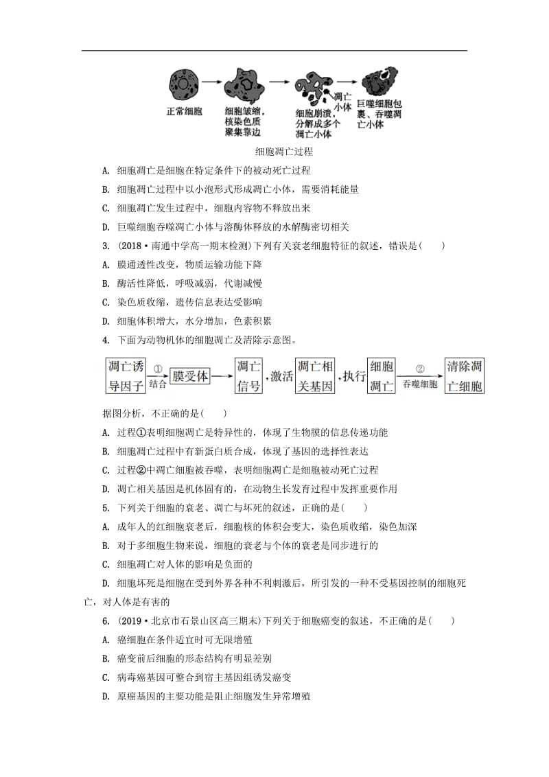 江苏省启东中学2018-2019学年高中生物暑假作业第十八天细胞分化衰老癌变和.pdf_第3页