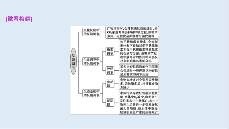 2020版新高考生物二轮复习京津鲁琼版课件：热考素材 热主题13　生命系统中的“反馈调节” .pdf_第2页