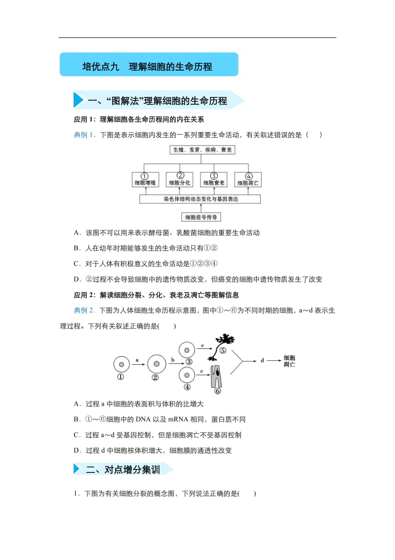 2020届高三生物精准培优专练：九 理解细胞的生命历程 Word版含答案.pdf_第1页