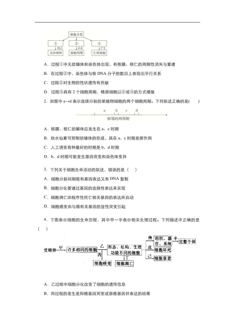 2020届高三生物精准培优专练：九 理解细胞的生命历程 Word版含答案.pdf_第2页