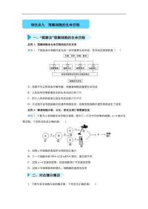 2020届高三生物精准培优专练：九 理解细胞的生命历程 Word版含答案.pdf