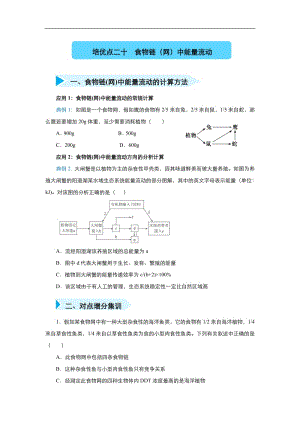 2020届高三生物精准培优专练：二十 食物链（网）中能量流动 Word版含答案.pdf