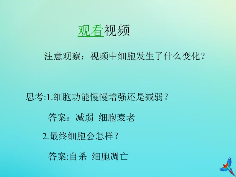 2019-2020学年高中生物第6章第3节细胞的衰老和凋亡2课件新人教版必修1.pdf_第2页