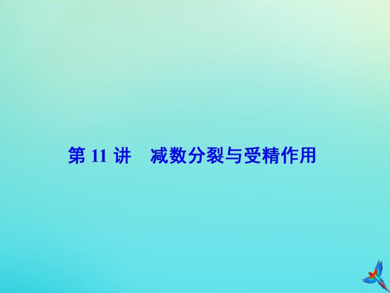 2020版高考生物一轮复习第11讲减数分裂与受精作用课件新人教版.pdf_第2页