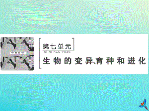 2020版高考生物一轮复习第19讲基因突变与基因重组课件新人教版.pdf