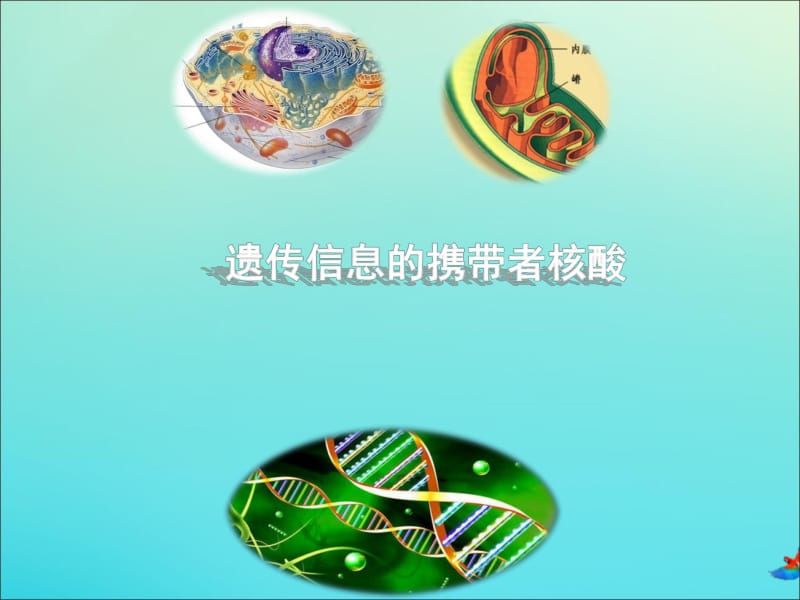 2019-2020学年高中生物第2章第3节遗传信息的携带者核酸课件新人教版必修1.pdf_第1页