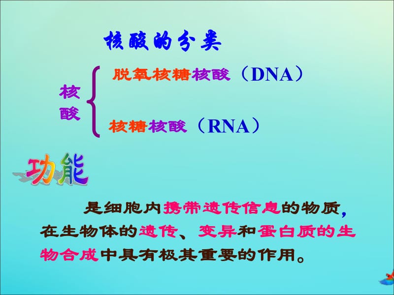 2019-2020学年高中生物第2章第3节遗传信息的携带者核酸课件新人教版必修1.pdf_第3页