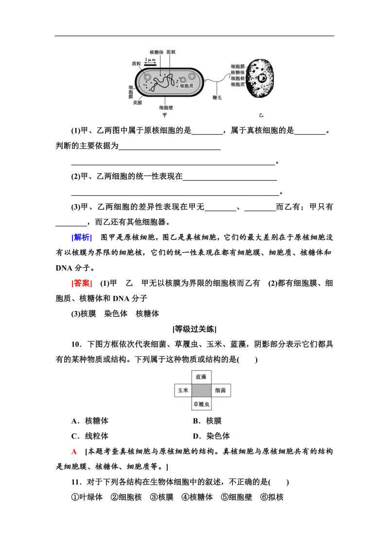 2019-2020学年中图版生物必修一课时分层作业：5　真核细胞与原核细胞 Word版含解析.pdf_第3页