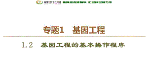 2019-2020学年人教版生物选修三课件：专题1 1.2　基因工程的基本操作程序 .pdf