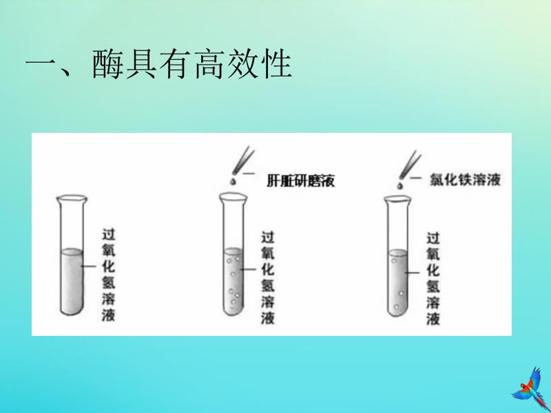 2019-2020学年高中生物第5章第1节第2课时酶的特性3课件新人教版必修1.pdf_第3页