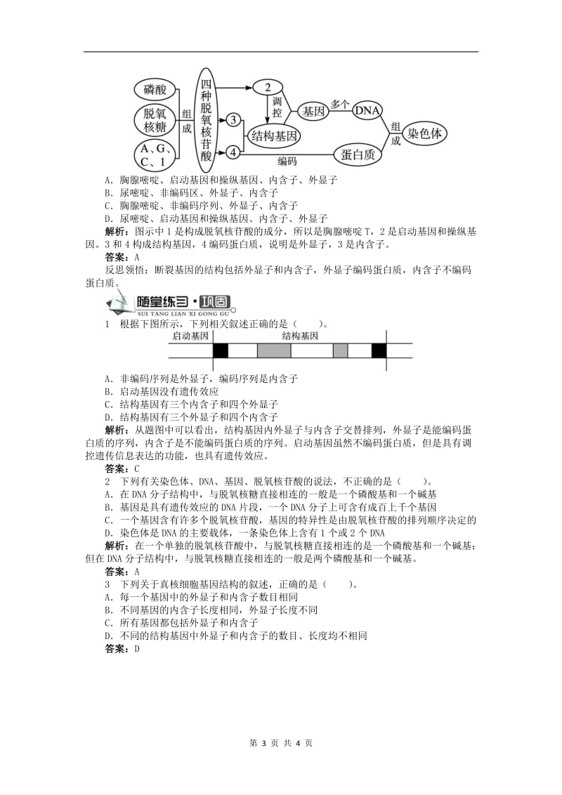 高中生物第三单元第二章第一节认识基因学案含解析中图版必修22.doc_第3页