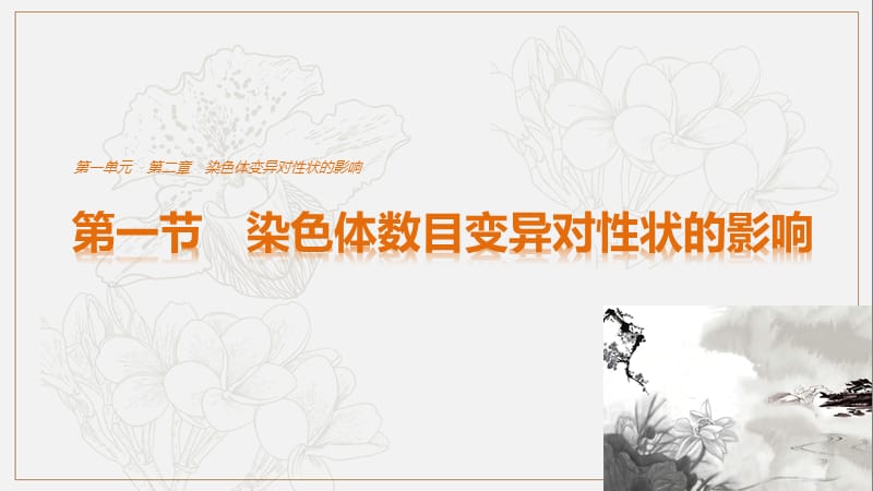 2019-2020版高中生物1.2.1染色体数目变异对性状的影响课件中图版必修2.ppt_第1页