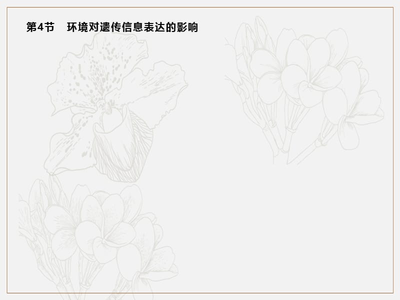 2019-2020学年新培优同步北师大版高中生物必修二课件：第4章　第4节　环境对遗传信息表达的影响 .pptx_第1页