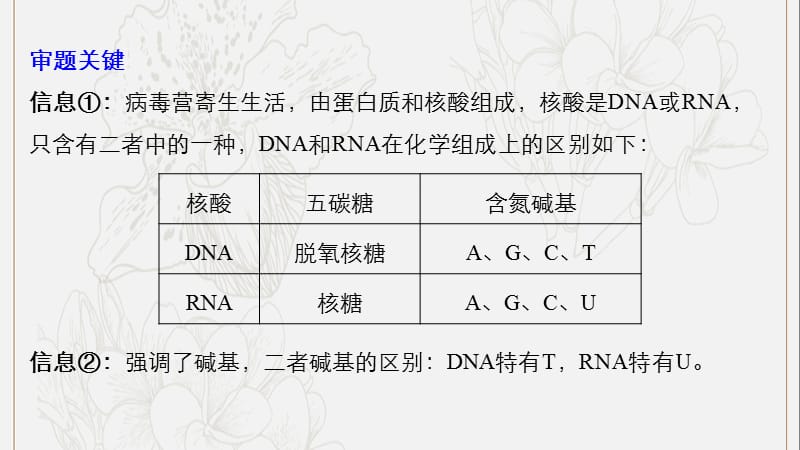 浙江专版2019版高考生物一轮复习实验技能提升一实验设计的基本原则课件.pptx_第3页