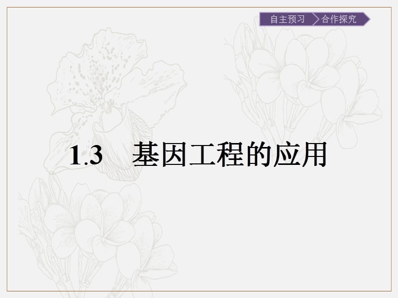 2019-2020学年生物高中人教版选修3课件：专题1　1.3　基因工程的应用 .pptx_第1页