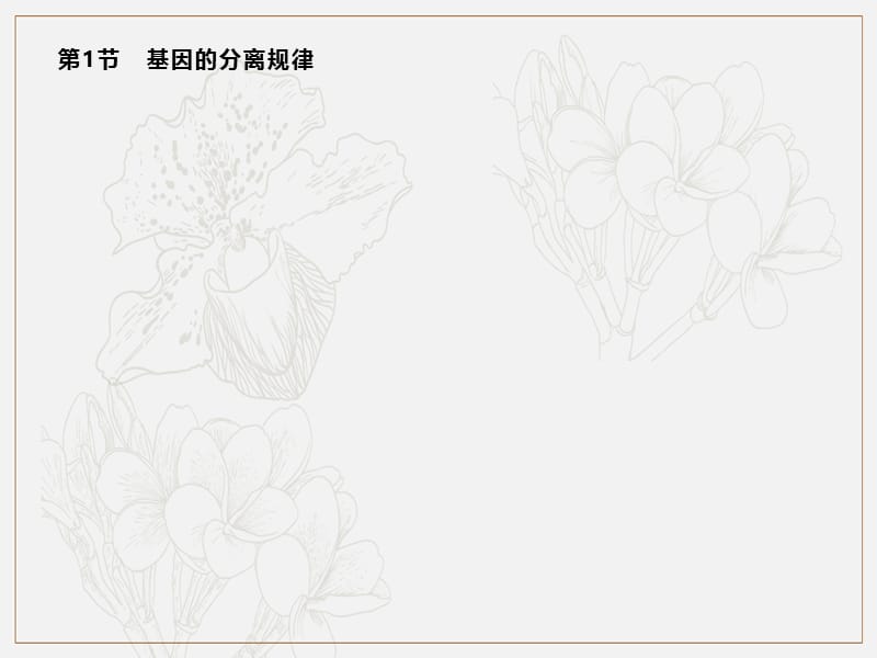 2019-2020学年新培优同步北师大版高中生物必修二课件：第4章　第1节　基因的分离规律 .pptx_第2页