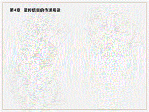 2019-2020学年新培优同步北师大版高中生物必修二课件：第4章　第1节　基因的分离规律 .pptx