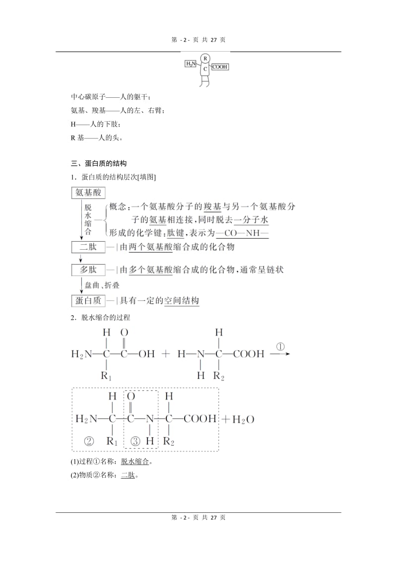 2019-2020学年（新教材）生物人教版必修1学案：2.4 蛋白质是生命活动的主要承担者 Word版含解析.doc_第2页