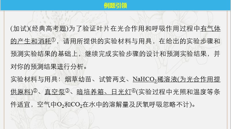 浙江专版2019版高考生物一轮复习实验技能提升二实验方案的补充和完善课件.pptx_第2页