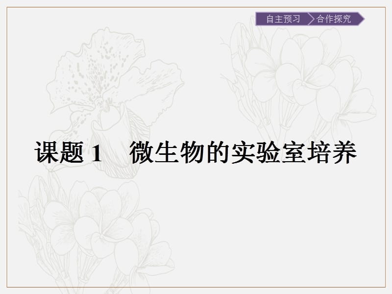 2019-2020学年生物高中人教版选修1课件：专题2　课题1　微生物的实验室培养 .pptx_第2页