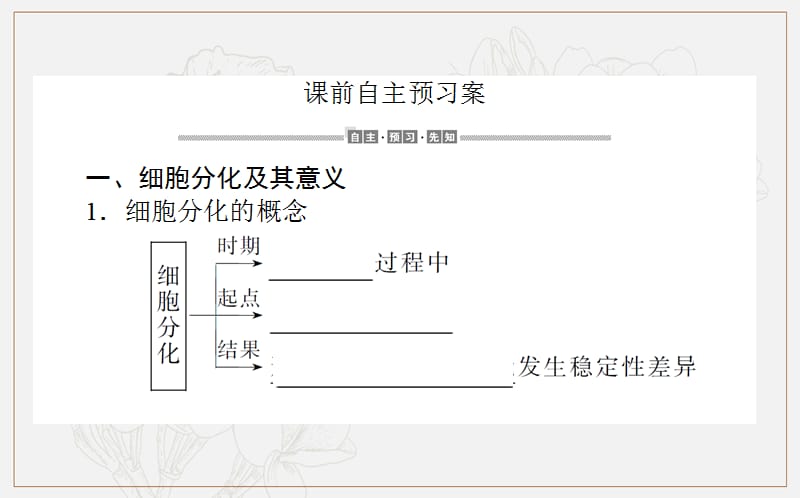 2019-2020学年（新教材）生物人教版必修1课件：6.2 细胞的分化 .ppt_第2页