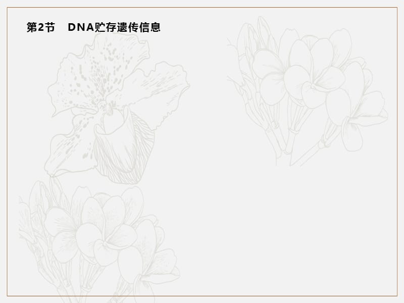 2019-2020学年新培优同步北师大版高中生物必修二课件：第2章　第2节　DNA贮存遗传信息 .pptx_第1页