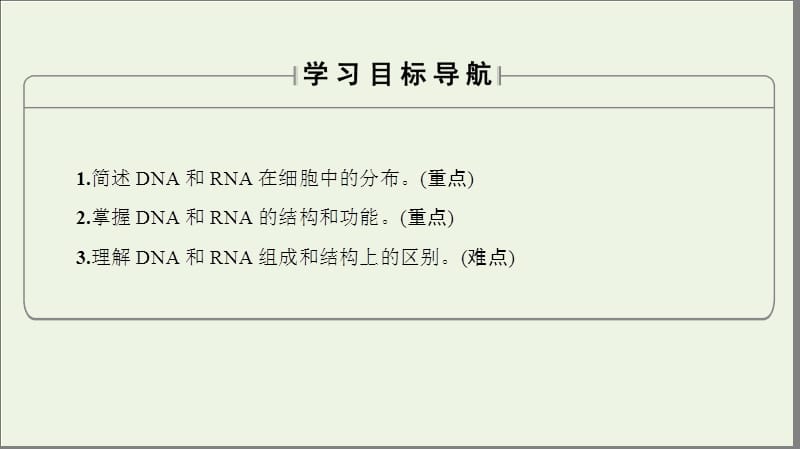 2019-2020学年高中生物第2单元第2章第1节核酸的结构和功能课件中图版必修1.ppt_第2页