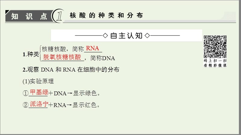 2019-2020学年高中生物第2单元第2章第1节核酸的结构和功能课件中图版必修1.ppt_第3页