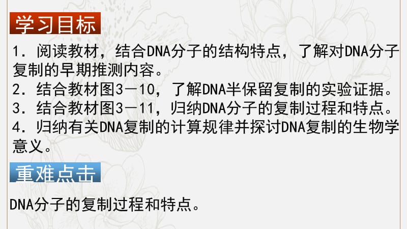 高中生物3.3遗传信息的传递课件2浙科版必修2.pptx_第2页