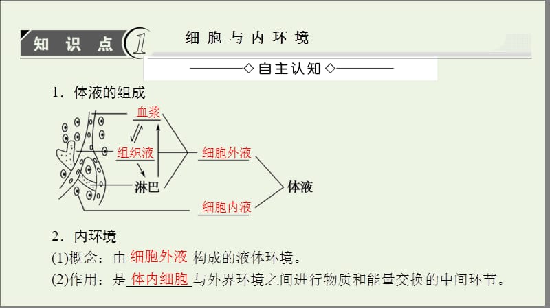 2019-2020学年高中生物第1单元第2章第1节内环境与稳态课件中图版必修3.ppt_第3页