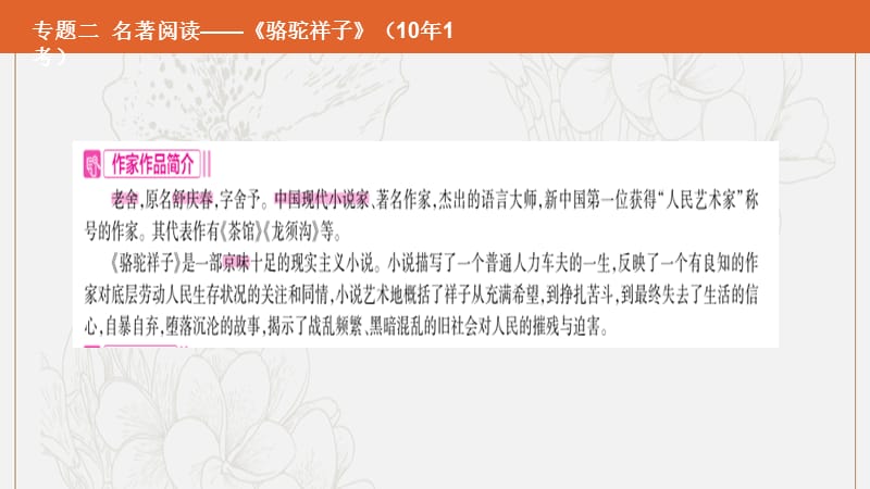 安徽专用2019年中考语文总复习第二部分语文积累与综合运用专题二名著阅读骆驼祥子课件2.pptx_第2页