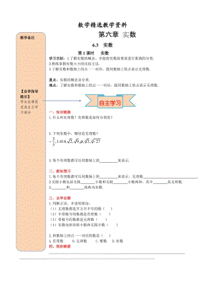 【精选】人教版数学七年级下册资料6.3 第1课时 实数.doc