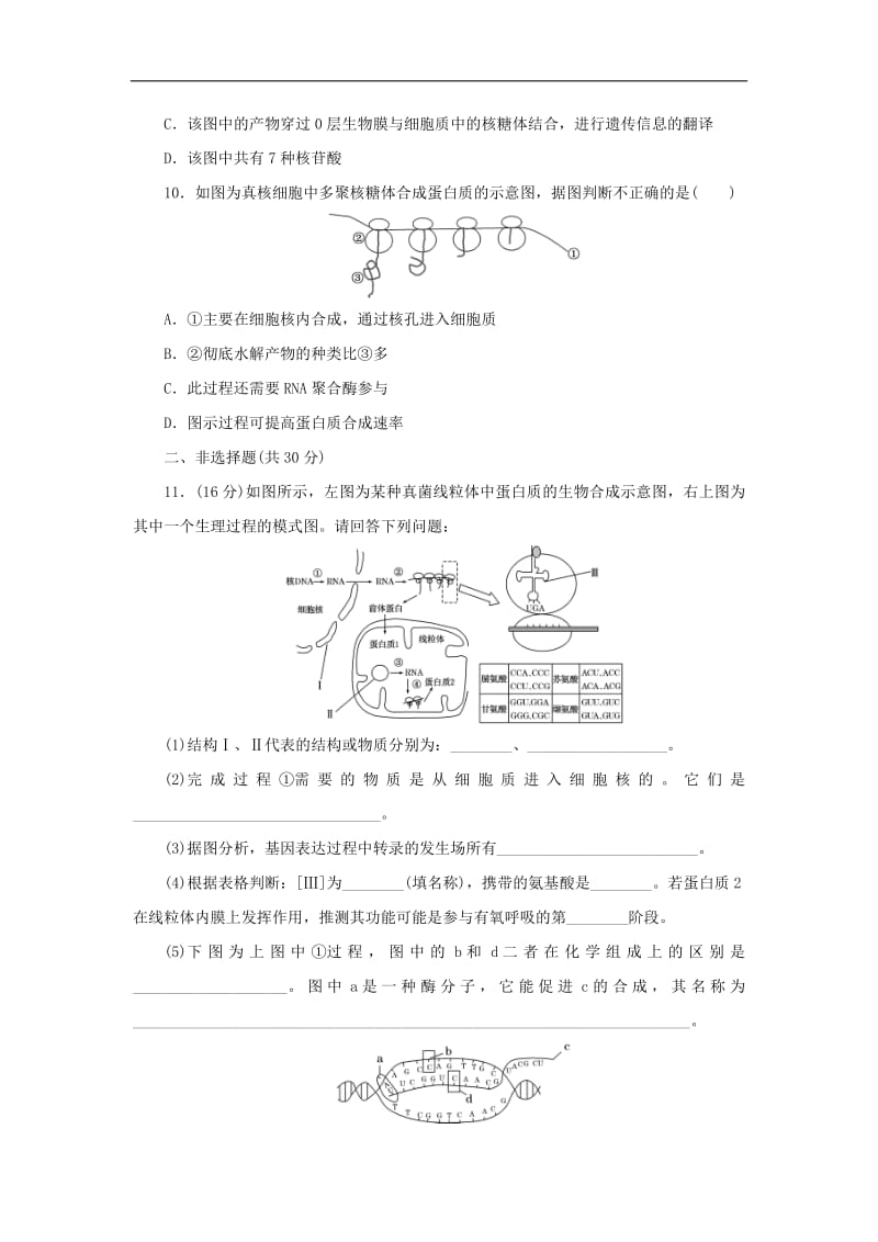 2019高中生物课时达标训练九基因指导蛋白质的合成含解析新人教版必修.pdf_第3页