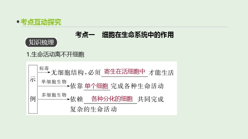 全国通用2020届高考生物优选大一轮复习第1单元走近细胞与细胞的分子组成第1讲走近细胞.ppt_第3页