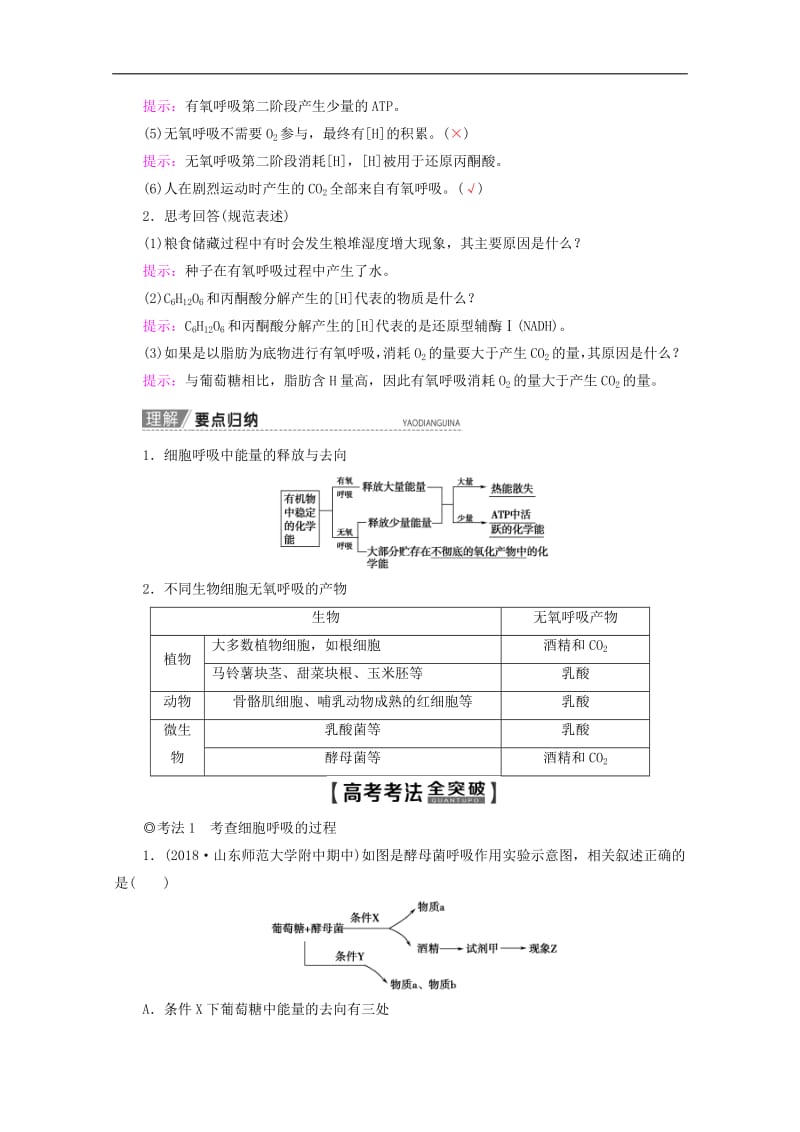 2020版高考生物一轮复习第3单元第4讲细胞呼吸教学案苏教版必修.pdf_第3页