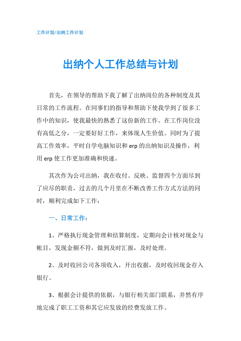 出纳个人工作总结与计划.doc_第1页