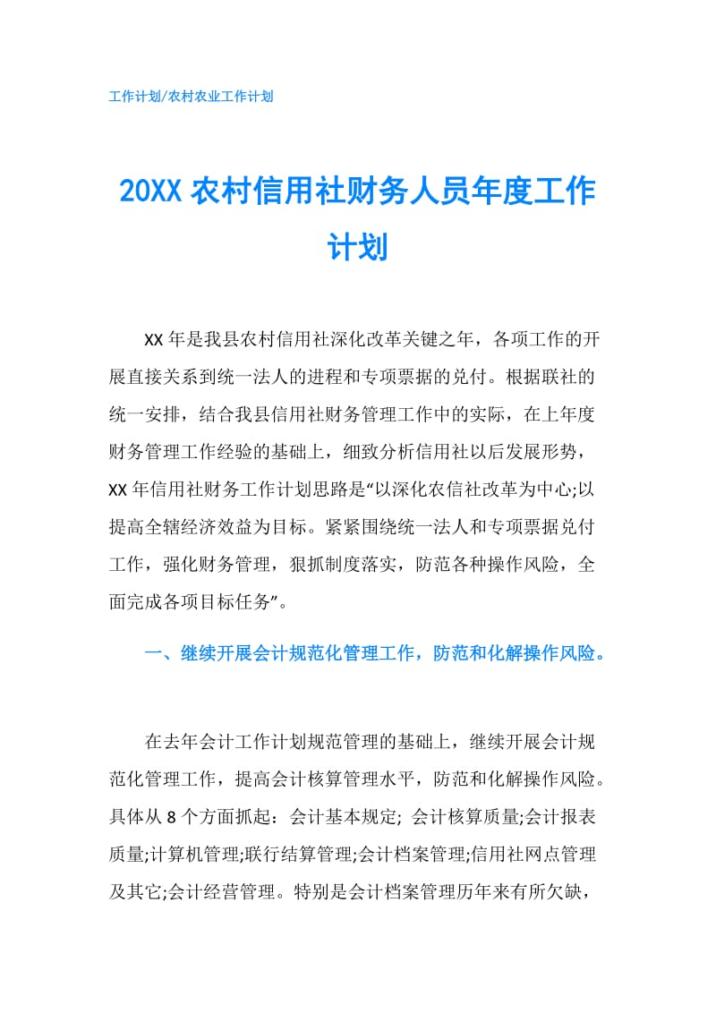 20XX农村信用社财务人员年度工作计划.doc_第1页