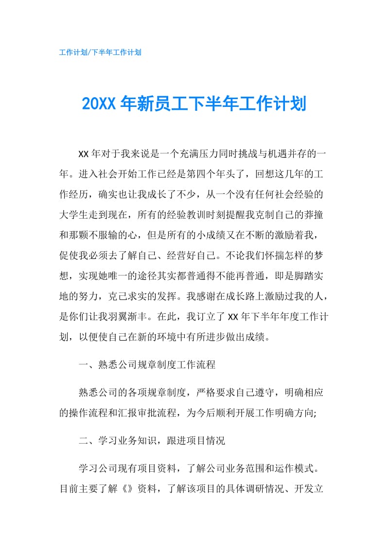 20XX年新员工下半年工作计划.doc_第1页