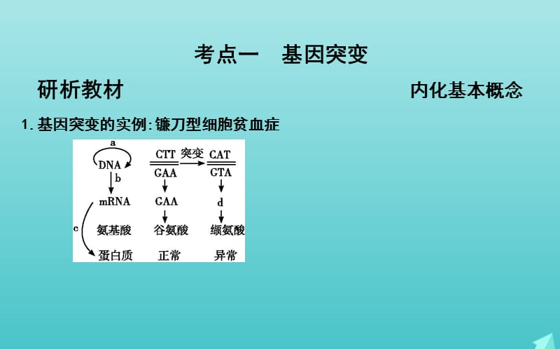 2020版高考生物总复习第20讲基因突变和基因重组课件新人教版.ppt_第3页