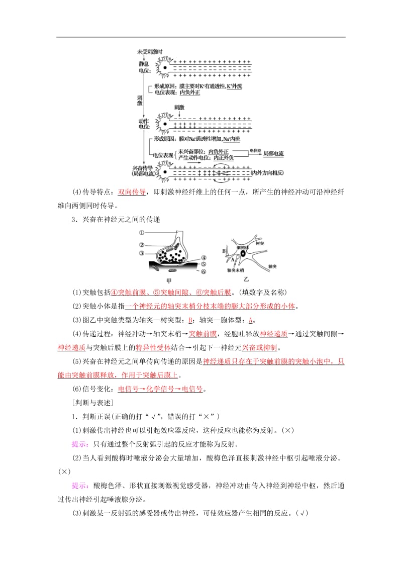 2020版高考生物一轮复习第8单元第4讲人体神经调节与人脑的高级功能教学案苏教版必修.pdf_第2页