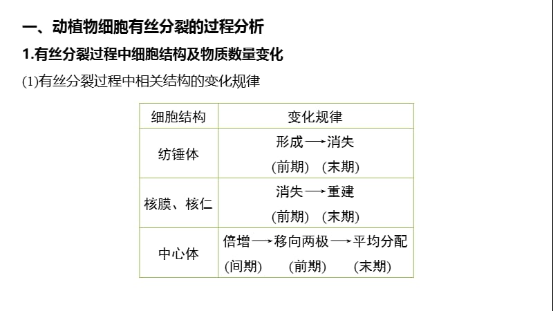 2019-2020学年新素养人教版高中生物必修一课件：第6章 细胞的生命历程 微专题四 .pptx_第2页