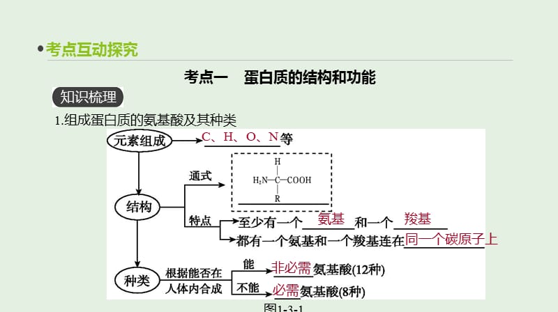 全国通用2020届高考生物优选大一轮复习第1单元走近细胞与细胞的分子组成第3讲生命活动的主要承担者__蛋白质.ppt_第3页