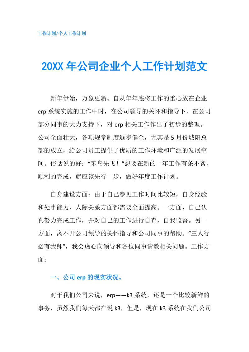 20XX年公司企业个人工作计划范文.doc_第1页