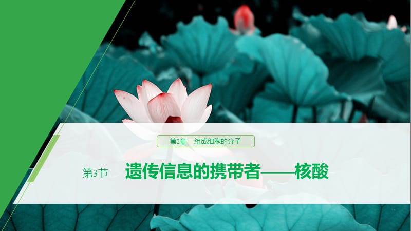 2019-2020学年新素养人教版高中生物必修一课件：第2章 组成细胞的分子 第3节 .pptx_第1页