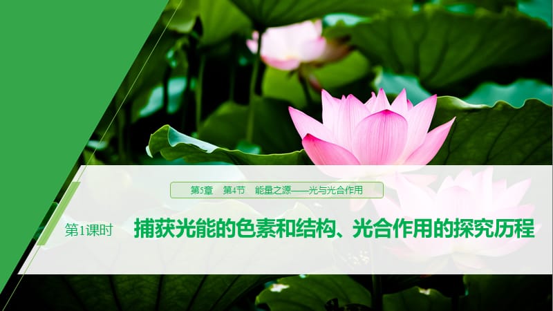 2019-2020学年新素养人教版高中生物必修一课件：第5章 细胞的能量供应和利用 第4节 第1课时 .pptx_第1页