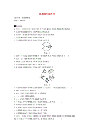 全国通用2020届高考生物优选大一轮复习第4单元细胞的生命历程第11_13讲课时作业含解析.pdf